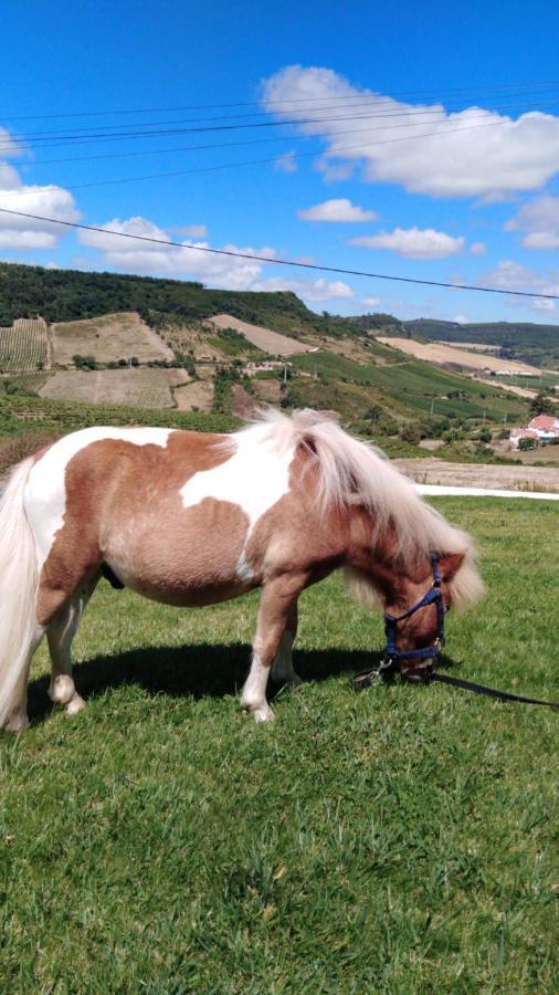 Casinha De Ferias No Campo - Quintinha Dos Cavalos - Arruda Dos Vinhos Sabugos Luaran gambar