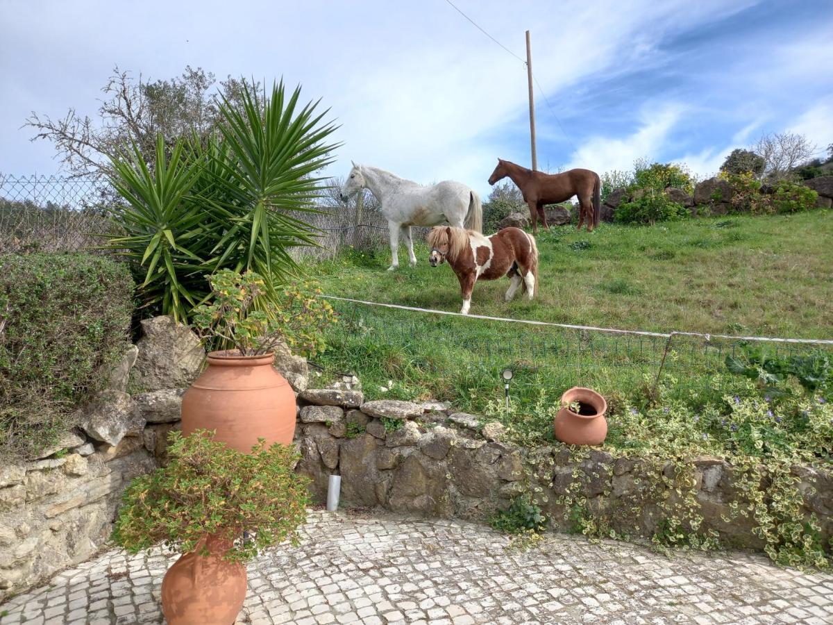 Casinha De Ferias No Campo - Quintinha Dos Cavalos - Arruda Dos Vinhos Sabugos Luaran gambar